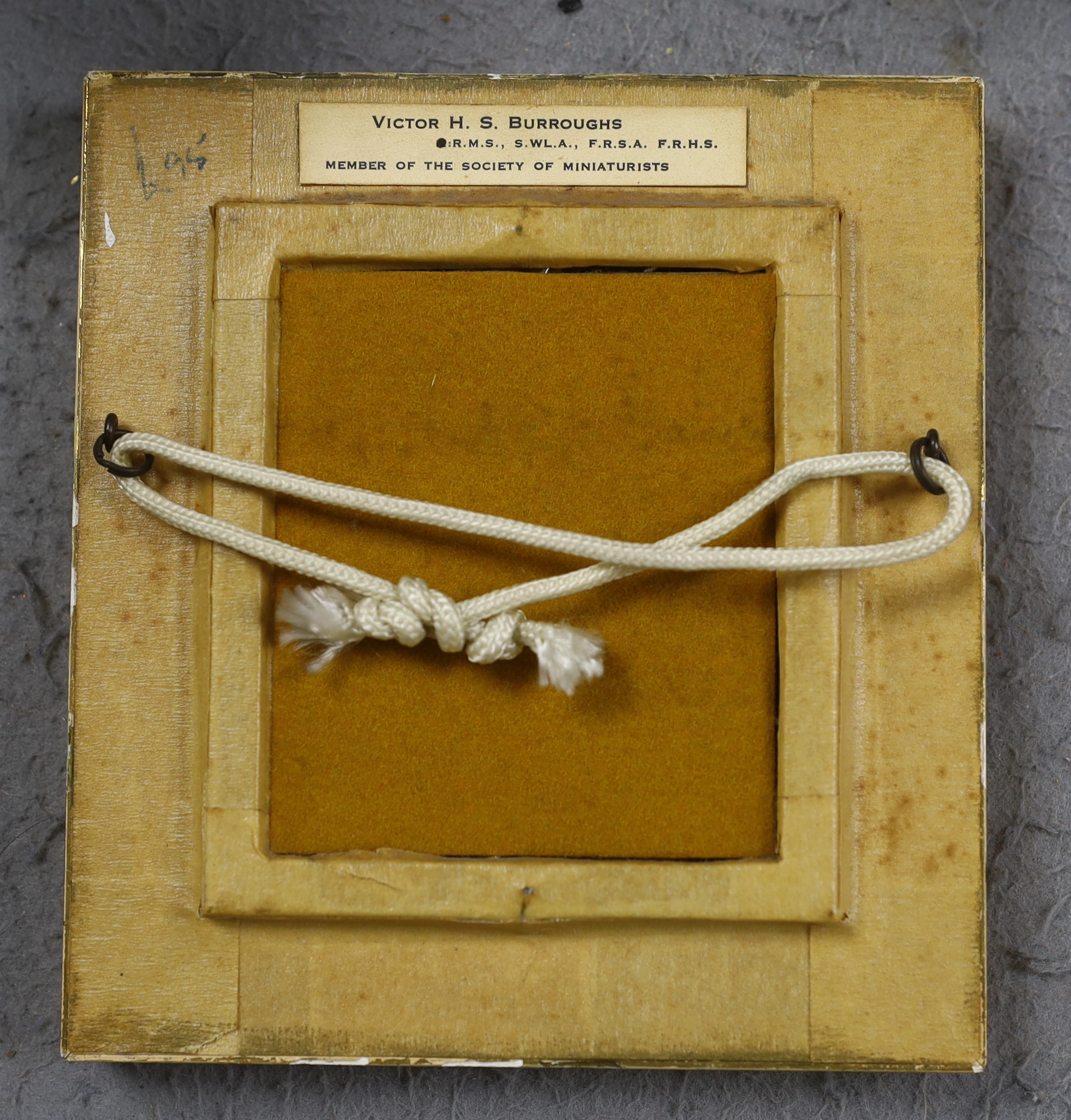 Victor H. S. Burroughs (1900-1979), miniature watercolour, Study of a ferret, monogrammed, 8 x 6.5cm
